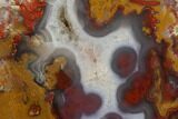 Polished Paint Rock Agate Slab - Tennessee #150572-1